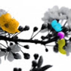 Meet your Posher, Lyon